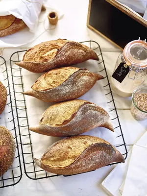 Sapore Senta Tempo BIO