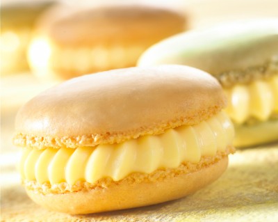 Coldfil 2.0 Vanilla Flavoured