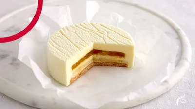 Cheesecake KREATIVNÍ